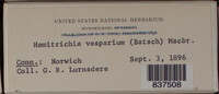 Image Associated With the Occurence